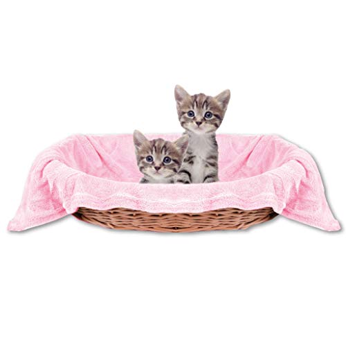 Bestlivings Haustierdecke Katzendecke Kuscheldecke Tierdecke, angenehm und super weich in vielen erhältlich (70x100 cm/rosa - babyrose) von Bestlivings