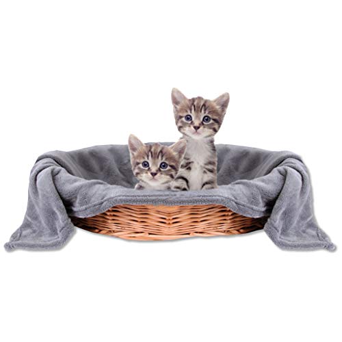 Bestlivings Haustierdecke Katzendecke Kuscheldecke Tierdecke, angenehm und super weich in vielen erhältlich (70x100 cm/steingrau - anthrazit) von Bestlivings