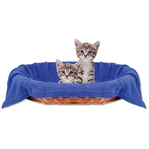 Bestlivings Haustierdecke Katzendecke Kuscheldecke Tierdecke, angenehm und super weich in vielen erhältlich (80x120 cm/blau - königsblau) von Bestlivings