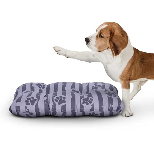 Bestlivings Hundekissen 40x60x15cm (LxBxH) - Anthrazit - Hundekorb gepolstert in vielen Größen M-XXL, kleine bis große Hunde, Hundebett, ÖKO-TEX von Bestlivings