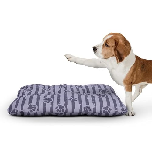 Bestlivings Hundekissen 60x80x15cm (LxBxH) - Anthrazit - Hundekorb gepolstert in vielen Größen M-XXL, kleine bis große Hunde, Hundebett, ÖKO-TEX von Bestlivings