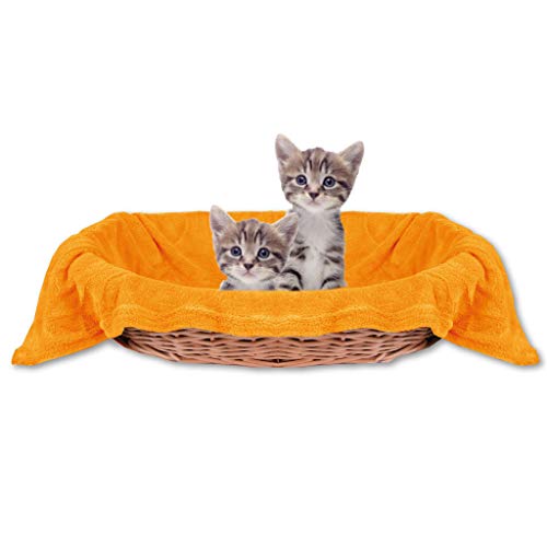 Haustierdecke Katzendecke Kuscheldecke Tierdecke, angenehm und super weich in vielen erhältlich (60x80 cm/maisgelb - Hellorange) von Bestlivings