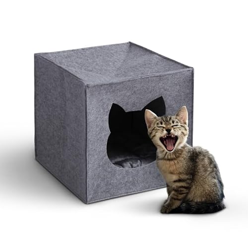 Katzenhöhle Filz für Regale (33x33x33cm) ÖKO-Tex - passend für IKEA Kallax, Expedit - inkl. Kuschelkissen - faltbares Katzenbett - Höhle für Katzen von Bestlivings