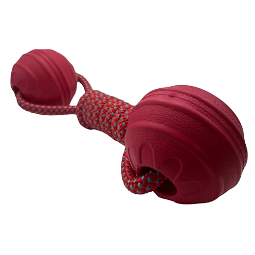 Bestpets Aquadog 2 Ballschlepper, Rot, Größe S Bestpets Aquadog 2 Ballschlepper, Rot, Größe S von Bestpets