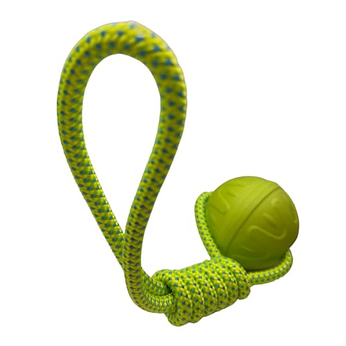 Bestpets Aquadog-Ball und Seil, Grün, Größe L Bestpets Aquadog-Ball und Seil, Grün, Größe L von Bestpets