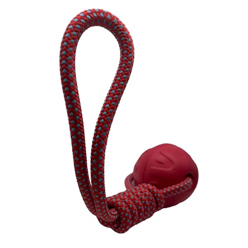 Bestpets Aquadog Ball & Seil, Rot, Größe L von Bestpets