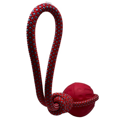 Bestpets Aquadog Ball & Seil, Rot, Größe M Bestpets Aquadog Ball & Seil, Rot, Größe M von Bestpets