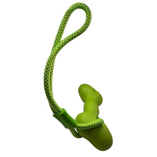 Bestpets Aquadog Knochen und Seil, Grün von Bestpets