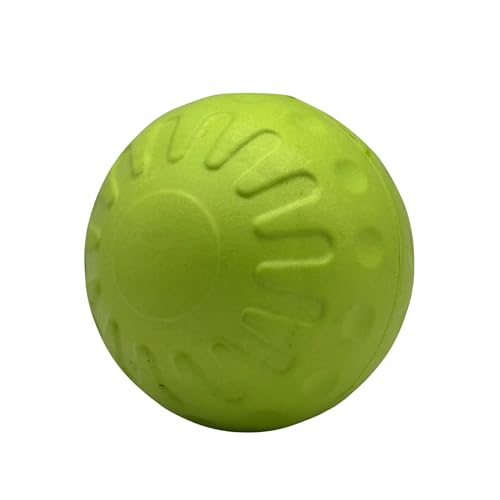 bestpets Aquadog Schwimmball, Grün, Größe S bestpets Aquadog Schwimmball, Grün, Größe S von Bestpets