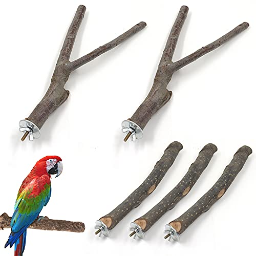 Betinyar 5-teiliges Holz-Sitzstangen-Set für Papageien, Finken, Lovebirds Betinyar 5-teiliges Holz-Sitzstangen-Set für Papageien, Finken, Lovebirds von Haohai