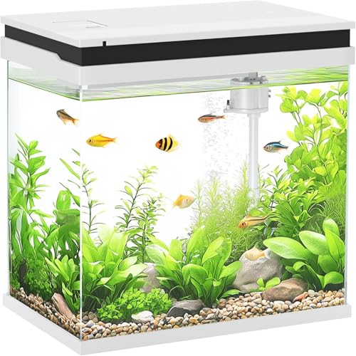 17L Klarglas-Aquarium mit LED-Beleuchtung, Filtersystem Aquarium mit weißer Pumpe für Tropische Fische von Betrome