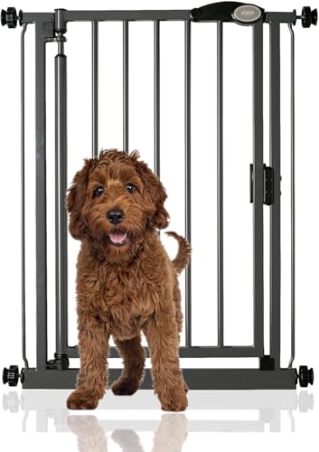 Bettacare Auto Close Haustiergitter, 68.5cm - 75cm, Grau, Schmal, Schmales Druckmontage-Treppengitter für Hunde & Welpen, Sicherheitsgitter für schmale Türen, Flure und Räume Bettacare Auto Close Haustiergitter, 68.5cm - 75cm, Grau, Schmal, Schmales Druckmontage-Treppengitter für Hunde & Welpen, Sicherheitsgitter für schmale Türen, Flure und Räume von Bettacare