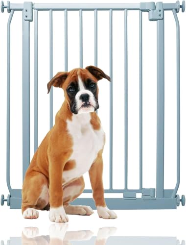 Bettacare Elite Druck-Hundegitter Schmal, 65.5cm - 74.5cm, Mattgrau, Schmales Druckbefestigungs-Tiergitter für Hunde und Welpen, Haustier- und Hundesperre, Einfache Installation Bettacare Elite Druck-Hundegitter Schmal, 65.5cm - 74.5cm, Mattgrau, Schmales Druckbefestigungs-Tiergitter für Hunde und Welpen, Haustier- und Hundesperre, Einfache Installation von Bettacare