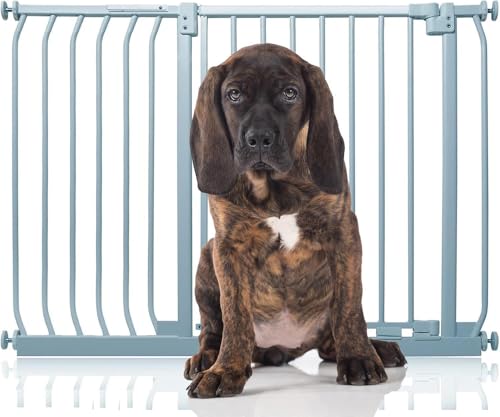 Bettacare Elite Hundegitter, 107cm - 116cm, Matt Grau, Druckbefestigung Hundegitter für Hunde und Welpen,Barrière Einfache Installation von Bettacare