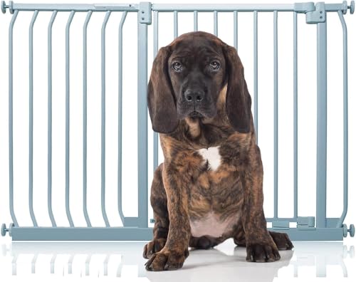 Bettacare Elite Hundegitter, 116cm - 125cm, Matt Grau, Druckbefestigung Hundegitter für Hunde und Welpen,Barrière Einfache Installation Bettacare Elite Hundegitter, 116cm - 125cm, Matt Grau, Druckbefestigung Hundegitter für Hunde und Welpen,Barrière Einfache Installation von Bettacare