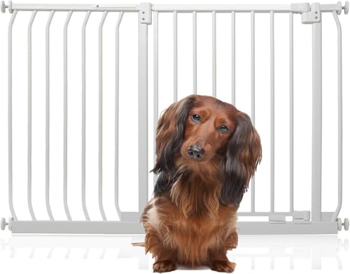 Bettacare Elite Hundegitter, 116cm - 125cm, Matt Weiß, Druckbefestigung Hundegitter für Hunde und Welpen,Barrière Einfache Installation Bettacare Elite Hundegitter, 116cm - 125cm, Matt Weiß, Druckbefestigung Hundegitter für Hunde und Welpen,Barrière Einfache Installation von Bettacare