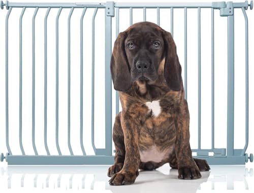 Bettacare Elite Hundegitter, 125cm - 134cm, Matt Grau, Druckbefestigung Hundegitter für Hunde und Welpen,Barrière Einfache Installation von Bettacare