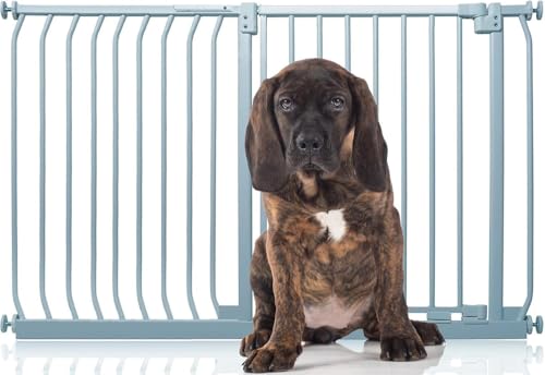 Bettacare Elite Hundegitter, 134cm - 143cm, Matt Grau, Druckbefestigung Hundegitter für Hunde und Welpen,Barrière Einfache Installation von Bettacare