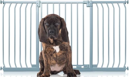 Bettacare Elite Hundegitter, 143cm - 152cm, Matt Grau, Druckbefestigung Hundegitter für Hunde und Welpen,Barrière Einfache Installation von Bettacare