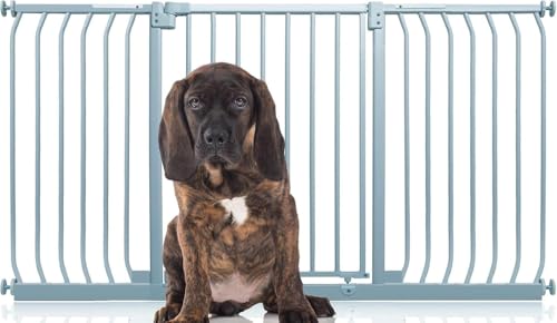 Bettacare Elite Hundegitter, 152cm - 161cm, Matt Grau, Druckbefestigung Hundegitter für Hunde und Welpen,Barrière Einfache Installation Bettacare Elite Hundegitter, 152cm - 161cm, Matt Grau, Druckbefestigung Hundegitter für Hunde und Welpen,Barrière Einfache Installation von Bettacare