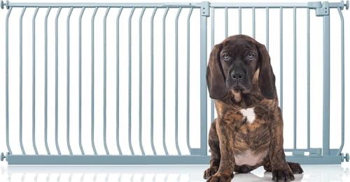 Bettacare Elite Hundegitter, 171cm - 180cm, Matt Grau, Druckbefestigung Hundegitter für Hunde und Welpen,Barrière Einfache Installation Bettacare Elite Hundegitter, 171cm - 180cm, Matt Grau, Druckbefestigung Hundegitter für Hunde und Welpen,Barrière Einfache Installation von Bettacare