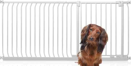 Bettacare Elite Hundegitter, 171cm - 180cm, Matt Weiß, Druckbefestigung Hundegitter für Hunde und Welpen,Barrière Einfache Installation Bettacare Elite Hundegitter, 171cm - 180cm, Matt Weiß, Druckbefestigung Hundegitter für Hunde und Welpen,Barrière Einfache Installation von Bettacare