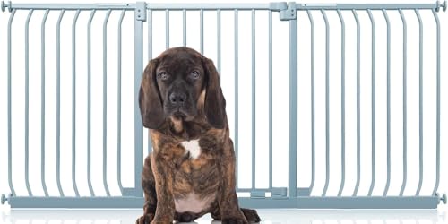 Bettacare Elite Hundegitter, 188cm - 197cm, Matt Grau, Druckbefestigung Hundegitter für Hunde und Welpen,Barrière Einfache Installation Bettacare Elite Hundegitter, 188cm - 197cm, Matt Grau, Druckbefestigung Hundegitter für Hunde und Welpen,Barrière Einfache Installation von Bettacare