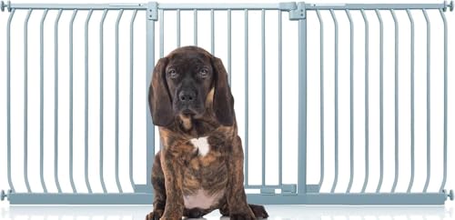 Bettacare Elite Hundegitter, 197cm - 206cm, Matt Grau, Druckbefestigung Hundegitter für Hunde und Welpen,Barrière Einfache Installation Bettacare Elite Hundegitter, 197cm - 206cm, Matt Grau, Druckbefestigung Hundegitter für Hunde und Welpen,Barrière Einfache Installation von Bettacare
