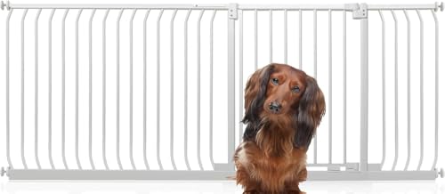 Bettacare Elite Hundegitter, 198cm - 207cm, Matt Weiß, Druckbefestigung Hundegitter für Hunde und Welpen,Barrière Einfache Installation Bettacare Elite Hundegitter, 198cm - 207cm, Matt Weiß, Druckbefestigung Hundegitter für Hunde und Welpen,Barrière Einfache Installation von Bettacare