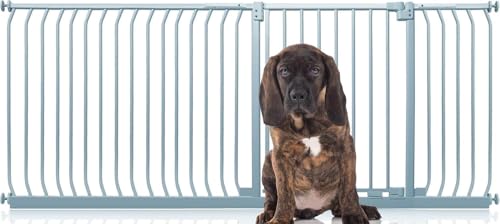 Bettacare Elite Hundegitter, 207cm - 216cm, Matt Grau, Druckbefestigung Hundegitter für Hunde und Welpen,Barrière Einfache Installation Bettacare Elite Hundegitter, 207cm - 216cm, Matt Grau, Druckbefestigung Hundegitter für Hunde und Welpen,Barrière Einfache Installation von Bettacare