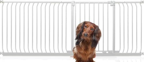 Bettacare Elite Hundegitter, 207cm - 216cm, Matt Weiß, Druckbefestigung Hundegitter für Hunde und Welpen,Barrière Einfache Installation von Bettacare