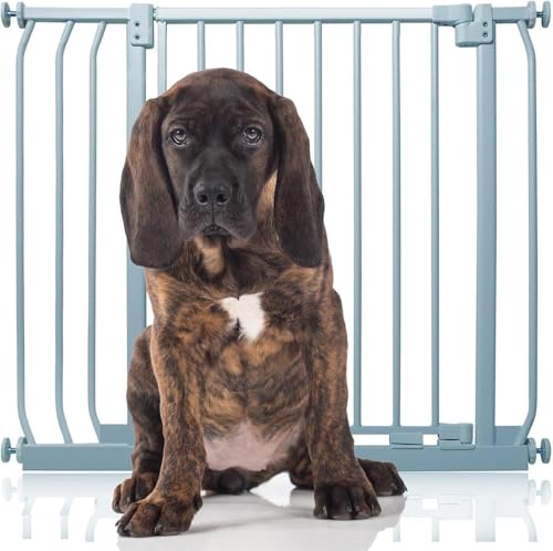 Bettacare Elite Hundegitter, 80cm - 89cm, Matt Grau, Druckbefestigung Hundegitter für Hunde und Welpen,Barrière Einfache Installation von Bettacare