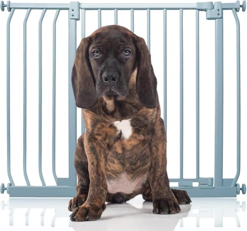 Bettacare Elite Hundegitter, 89cm - 98cm, Matt Grau, Druckbefestigung Hundegitter für Hunde und Welpen,Barrière Einfache Installation von Bettacare