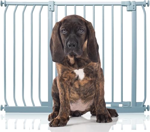 Bettacare Elite Hundegitter, 98cm - 107cm, Matt Grau, Druckbefestigung Hundegitter für Hunde und Welpen,Barrière Einfache Installation von Bettacare