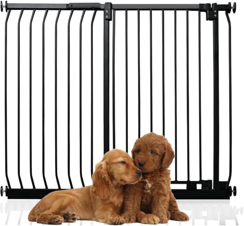 Bettacare Extra Tall Elite Hundegitter, 107cm - 116cm, Matt Schwarz, Extra Hoch 96.8cm in der Höhe, Druckbefestigung Hundegitter für Hunde und Welpen,Barrière Einfache Installation Bettacare Extra Tall Elite Hundegitter, 107cm - 116cm, Matt Schwarz, Extra Hoch 96.8cm in der Höhe, Druckbefestigung Hundegitter für Hunde und Welpen,Barrière Einfache Installation von Bettacare