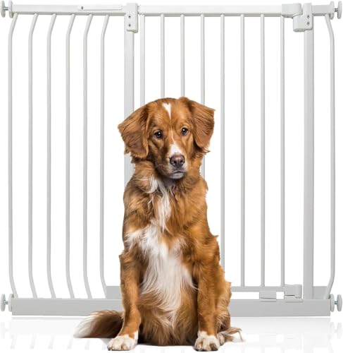 Bettacare Extra Tall Elite Hundegitter, 107cm - 116cm, Matt Weiß, Extra Hoch 96.8cm in der Höhe, Druckbefestigung Hundegitter für Hunde und Welpen,Barrière Einfache Installation von Bettacare