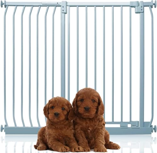 Bettacare Extra Tall Elite Hundegitter, 116cm - 125cm, Matt Grau, Extra Hoch 96.8cm in der Höhe, Druckbefestigung Hundegitter für Hunde und Welpen,Barrière Einfache Installation Bettacare Extra Tall Elite Hundegitter, 116cm - 125cm, Matt Grau, Extra Hoch 96.8cm in der Höhe, Druckbefestigung Hundegitter für Hunde und Welpen,Barrière Einfache Installation von Bettacare