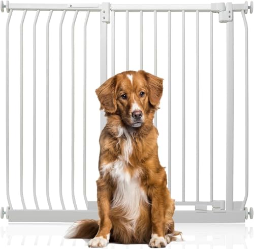 Bettacare Extra Tall Elite Hundegitter, 116cm - 125cm, Matt Weiß, Extra Hoch 96.8cm in der Höhe, Druckbefestigung Hundegitter für Hunde und Welpen,Barrière Einfache Installation Bettacare Extra Tall Elite Hundegitter, 116cm - 125cm, Matt Weiß, Extra Hoch 96.8cm in der Höhe, Druckbefestigung Hundegitter für Hunde und Welpen,Barrière Einfache Installation von Bettacare
