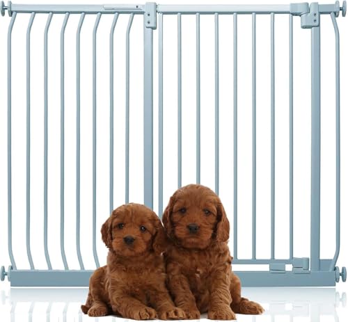 Bettacare Extra Tall Elite Hundegitter, 125cm - 134cm, Matt Grau, Extra Hoch 96.8cm in der Höhe, Druckbefestigung Hundegitter für Hunde und Welpen,Barrière Einfache Installation Bettacare Extra Tall Elite Hundegitter, 125cm - 134cm, Matt Grau, Extra Hoch 96.8cm in der Höhe, Druckbefestigung Hundegitter für Hunde und Welpen,Barrière Einfache Installation von Bettacare