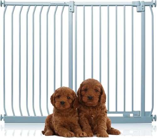 Bettacare Extra Tall Elite Hundegitter, 134cm - 143cm, Matt Grau, Extra Hoch 96.8cm in der Höhe, Druckbefestigung Hundegitter für Hunde und Welpen,Barrière Einfache Installation Bettacare Extra Tall Elite Hundegitter, 134cm - 143cm, Matt Grau, Extra Hoch 96.8cm in der Höhe, Druckbefestigung Hundegitter für Hunde und Welpen,Barrière Einfache Installation von Bettacare