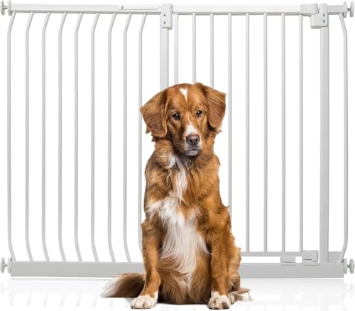 Bettacare Extra Tall Elite Hundegitter, 134cm - 143cm, Matt Weiß, Extra Hoch 96.8cm in der Höhe, Druckbefestigung Hundegitter für Hunde und Welpen,Barrière Einfache Installation Bettacare Extra Tall Elite Hundegitter, 134cm - 143cm, Matt Weiß, Extra Hoch 96.8cm in der Höhe, Druckbefestigung Hundegitter für Hunde und Welpen,Barrière Einfache Installation von Bettacare