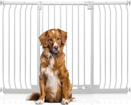 Bettacare Extra Tall Elite Hundegitter, 143cm - 152cm, Matt Weiß, Extra Hoch 96.8cm in der Höhe, Druckbefestigung Hundegitter für Hunde und Welpen,Barrière Einfache Installation Bettacare Extra Tall Elite Hundegitter, 143cm - 152cm, Matt Weiß, Extra Hoch 96.8cm in der Höhe, Druckbefestigung Hundegitter für Hunde und Welpen,Barrière Einfache Installation von Bettacare