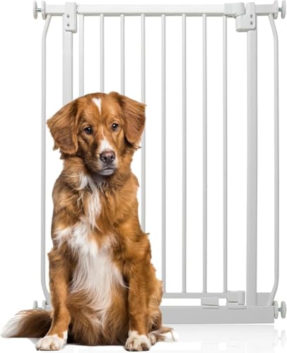 Bettacare Extra Tall Elite Hundegitter, 71cm - 80cm, Matt Weiß, Extra Hoch 96.8cm in der Höhe, Druckbefestigung Hundegitter für Hunde und Welpen,Barrière Einfache Installation von Bettacare