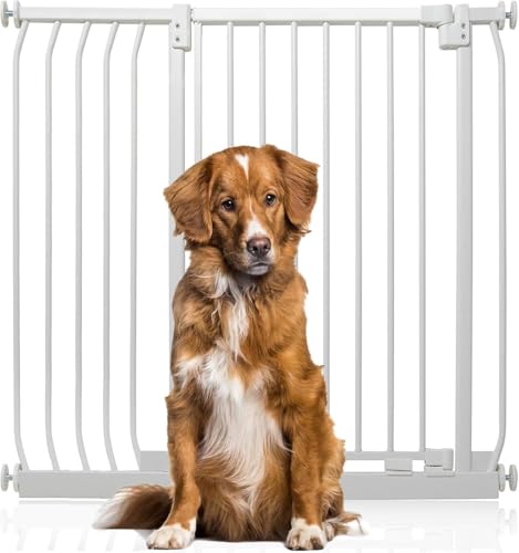 Bettacare Extra Tall Elite Hundegitter, 98cm - 107cm, Matt Weiß, Extra Hoch 100cm in der Höhe, Druckbefestigung Hundegitter für Hunde und Welpen,Barrière Einfache Installation von Bettacare