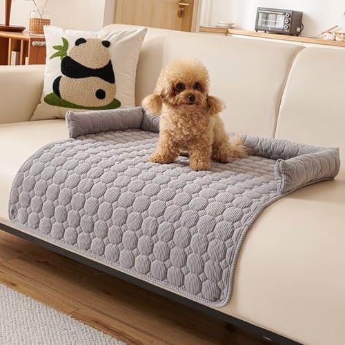 Bettschlange Hundedecke Sofa mit Rand, Sofaschutz Hund, Hundebett für Sofa Waschbar Flauschig Hundebett, rutschfest Hundekissen, mittelgroße Hunde,75x75cm,Hellgrau Bettschlange Hundedecke Sofa mit Rand, Sofaschutz Hund, Hundebett für Sofa Waschbar Flauschig Hundebett, rutschfest Hundekissen, mittelgroße Hunde,75x75cm,Hellgrau von Bettschlange