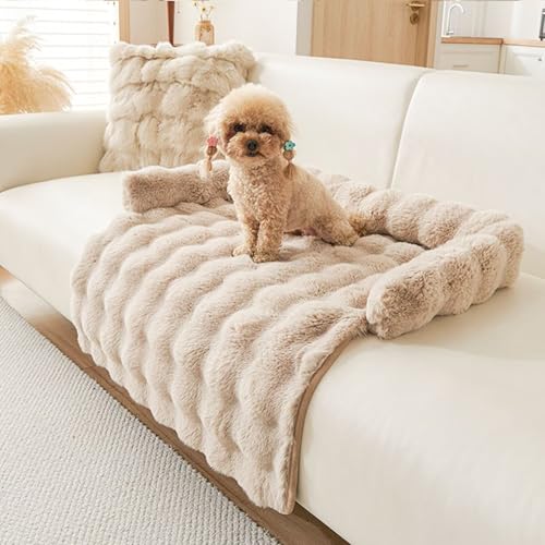 Bettschlange Hundebett Flauschig, Katzenbett, Hundedecke Sofa mit Rand, Waschbar Haustierbett, Hundebetten rutschfest, Katzensofa Katzennest für Katze Kleine Hunde, 75x75cm, Kaffee Bettschlange Hundebett Flauschig, Katzenbett, Hundedecke Sofa mit Rand, Waschbar Haustierbett, Hundebetten rutschfest, Katzensofa Katzennest für Katze Kleine Hunde, 75x75cm, Kaffee von Bettschlange