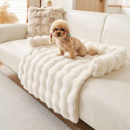 Hundebett Flauschig, Katzenbett, Hundedecke Sofa mit Rand, Waschbar Haustierbett, Hundebetten rutschfest, Katzensofa Katzennest für Katze Kleine Hunde, 75x75cm, Beige Hundebett Flauschig, Katzenbett, Hundedecke Sofa mit Rand, Waschbar Haustierbett, Hundebetten rutschfest, Katzensofa Katzennest für Katze Kleine Hunde, 75x75cm, Beige von Bettschlange