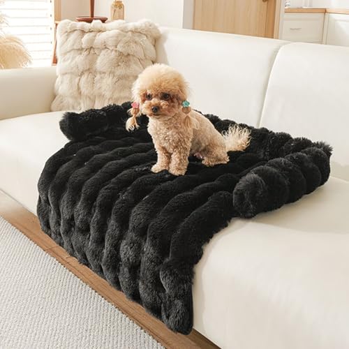 Hundebett Flauschig, Katzenbett, Hundedecke Sofa mit Rand, Waschbar Haustierbett, Hundebetten rutschfest, Katzensofa Katzennest für Katze Kleine Hunde, 75x75cm, Schwarz Hundebett Flauschig, Katzenbett, Hundedecke Sofa mit Rand, Waschbar Haustierbett, Hundebetten rutschfest, Katzensofa Katzennest für Katze Kleine Hunde, 75x75cm, Schwarz von Bettschlange