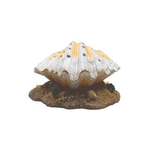 Beue Muschelform Ornament, Harz-Dekorationen für Aquarien, Aquarien und Reptilienkästen, Bruthöhlen und Verstecke für Wassertiere von Beue