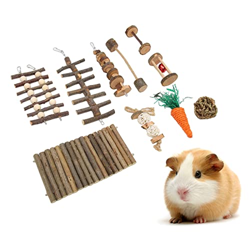 10 Stück Hamster-Kauspielzeug, Hamster-Spielzeug, Meerschweinchen-Spielzeug, Hamsterrad, Hamsterkäfig-Zubehör, Kleintier-Backenzahn-Kauspielzeug von Beufee